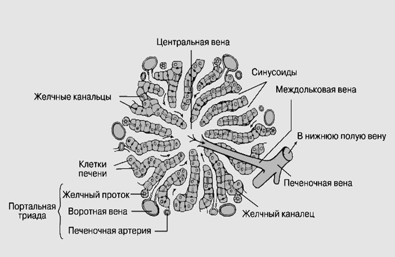 12359826781668