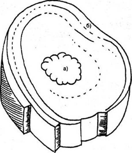 http://lechebnik.info/427/2.files/image002.jpg