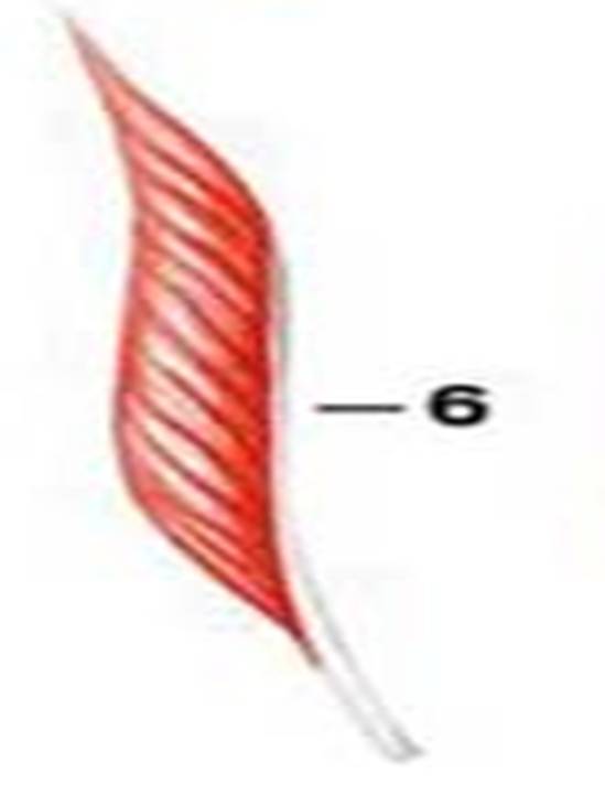 m2
