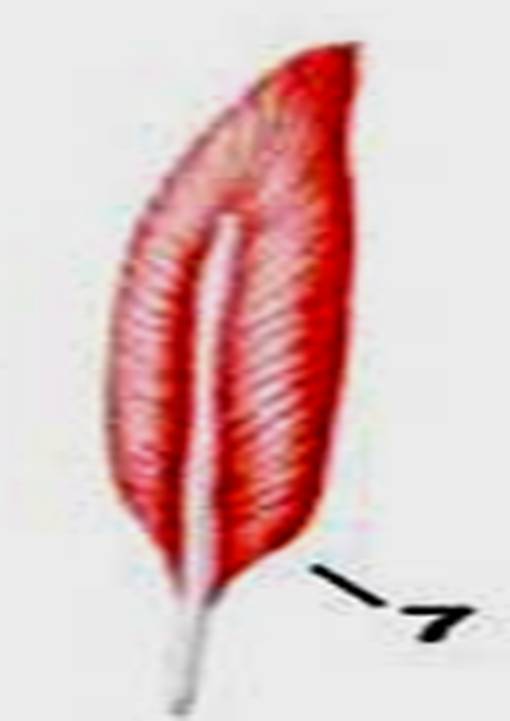 m2