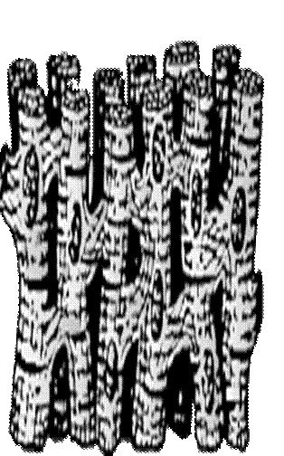 0672_004