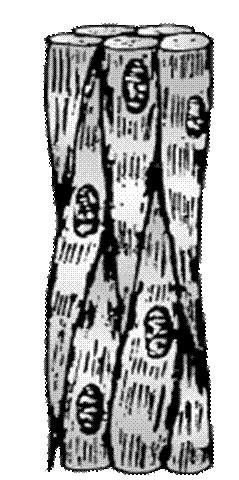 0672_004
