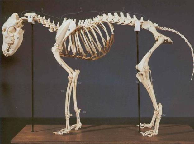  9  1622