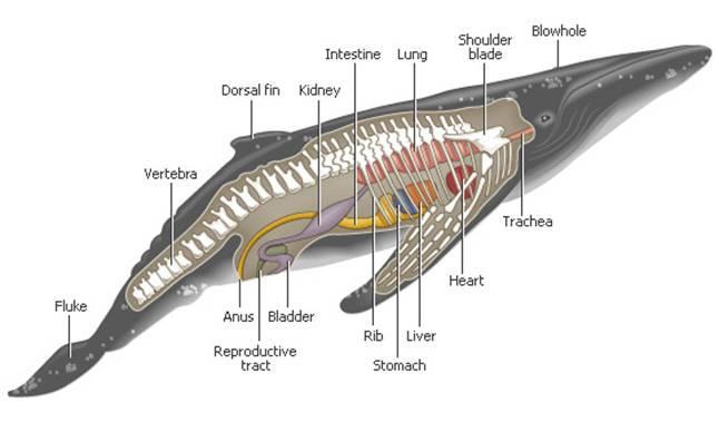  3  184
