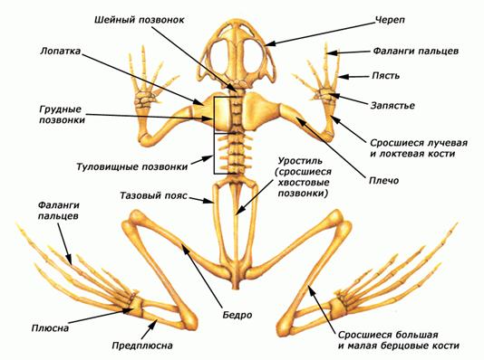  5  540