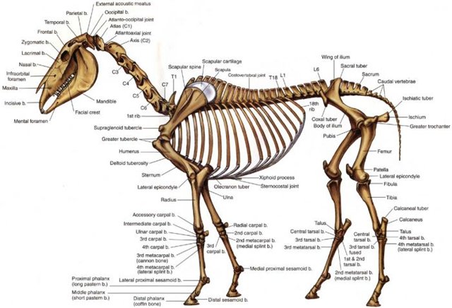  5  944