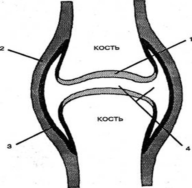 http://lechebnik.info/427/2.files/image001.jpg